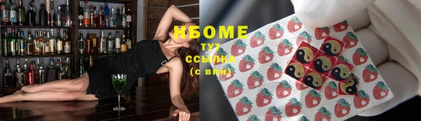 гидропоника Гусиноозёрск