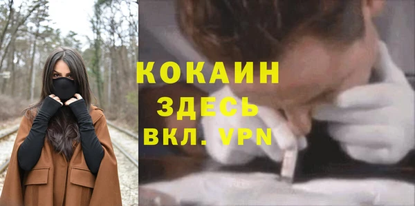 Альфа ПВП Гусев