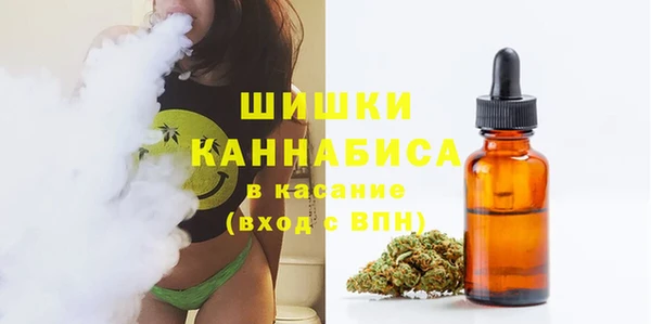 индика Сафоново