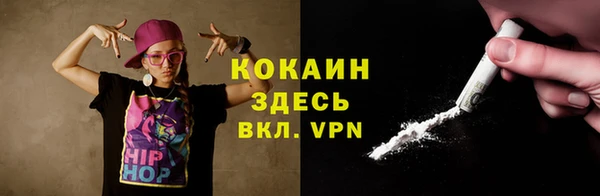 Альфа ПВП Гусев