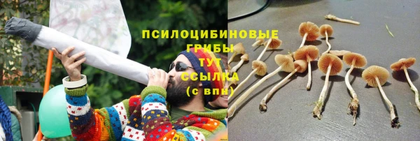 гидропоника Гусиноозёрск