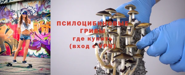 Альфа ПВП Гусев