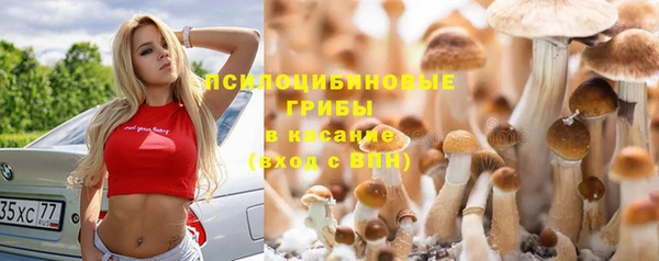 Альфа ПВП Гусев