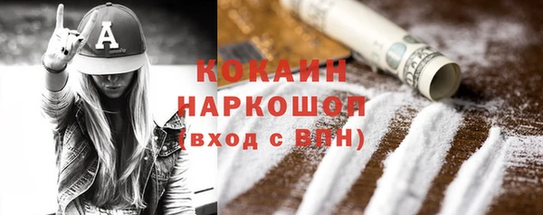 гидропоника Гусиноозёрск